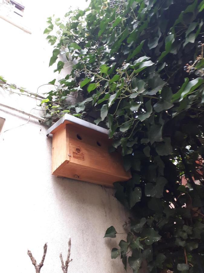 Le Nichoir Aux Oiseaux Apartment ปารีส ภายนอก รูปภาพ